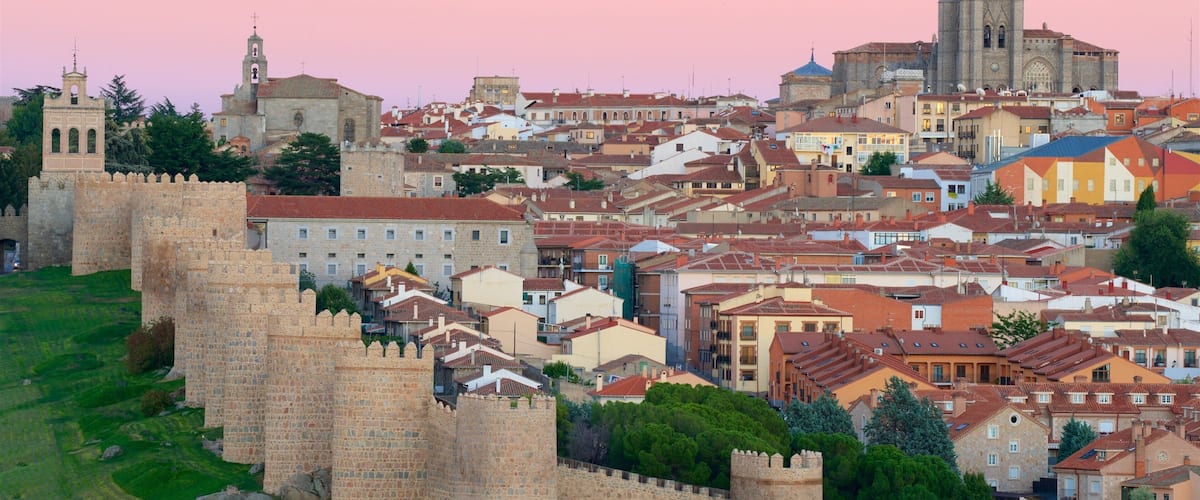 A historic cityscape with a prominent stone fortress, colorful buildings, and a large cathedral.