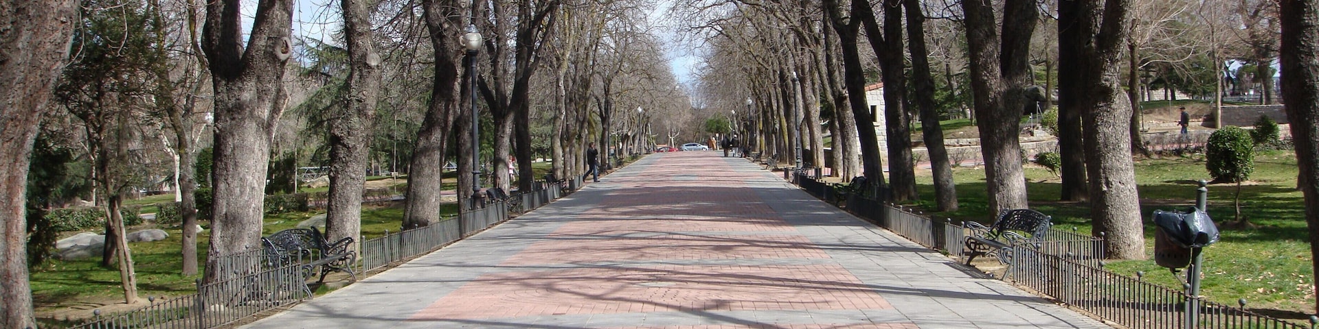 Uma trilha arborizada em um parque, com bancos e um caminho pavimentado.