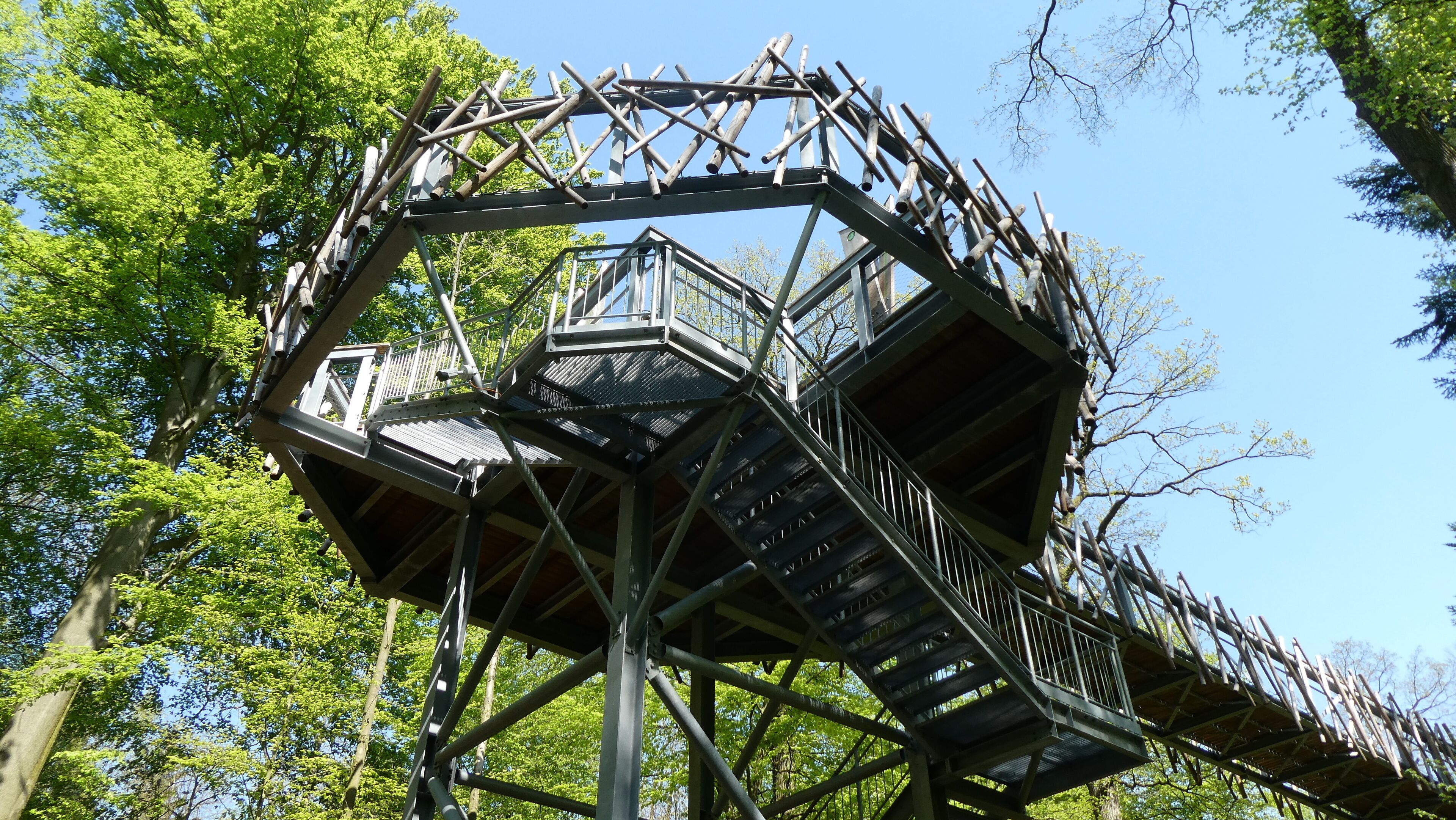 Baumwipfelpfad Bad Driburg