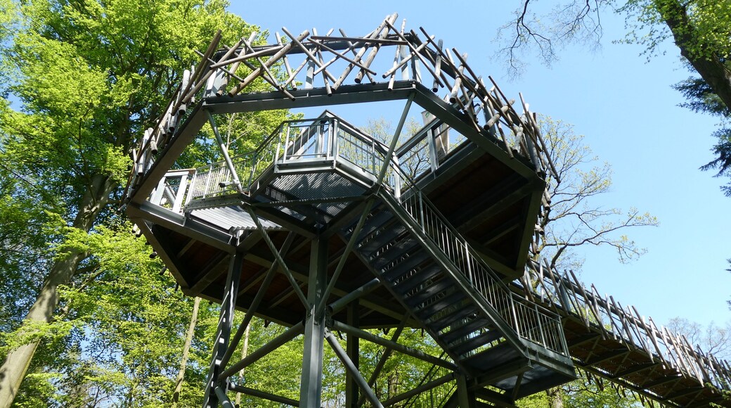 Baumwipfelpfad Bad Driburg