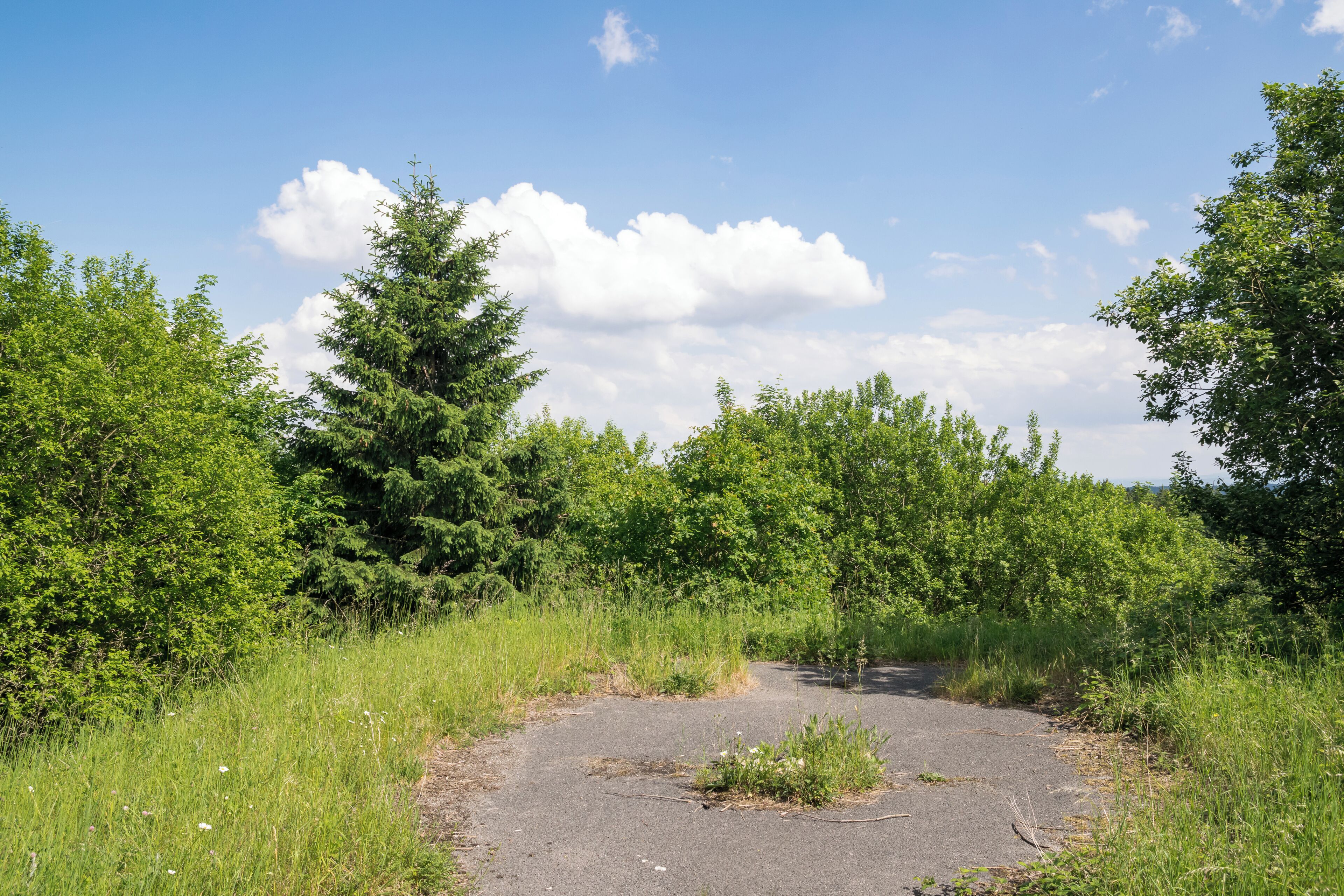 ehemalige belgische FlaRak-Stellung Hausheide im Grenzgebiet Altenbeken/Bad Driburg