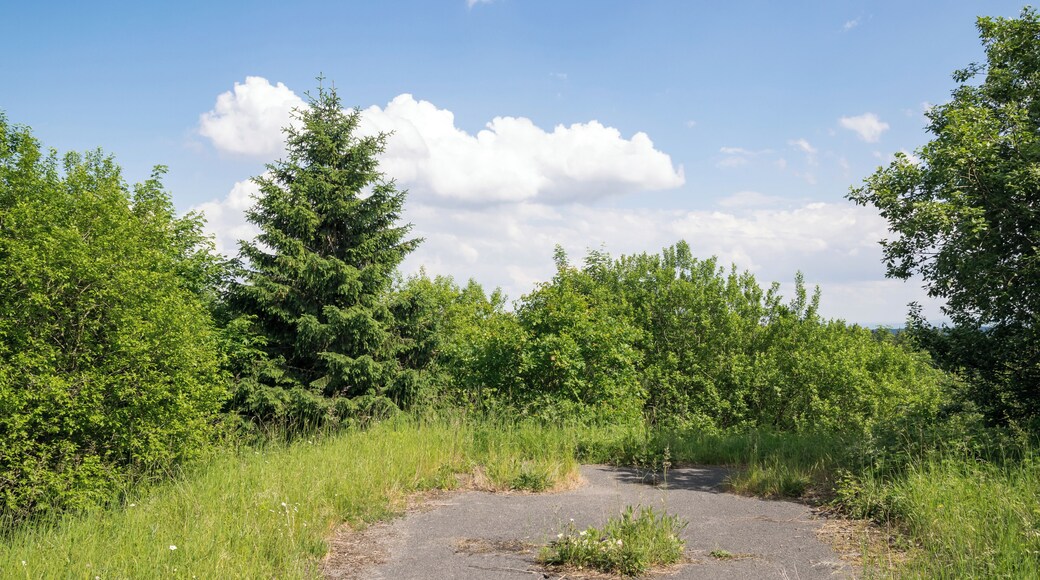 ehemalige belgische FlaRak-Stellung Hausheide im Grenzgebiet Altenbeken/Bad Driburg