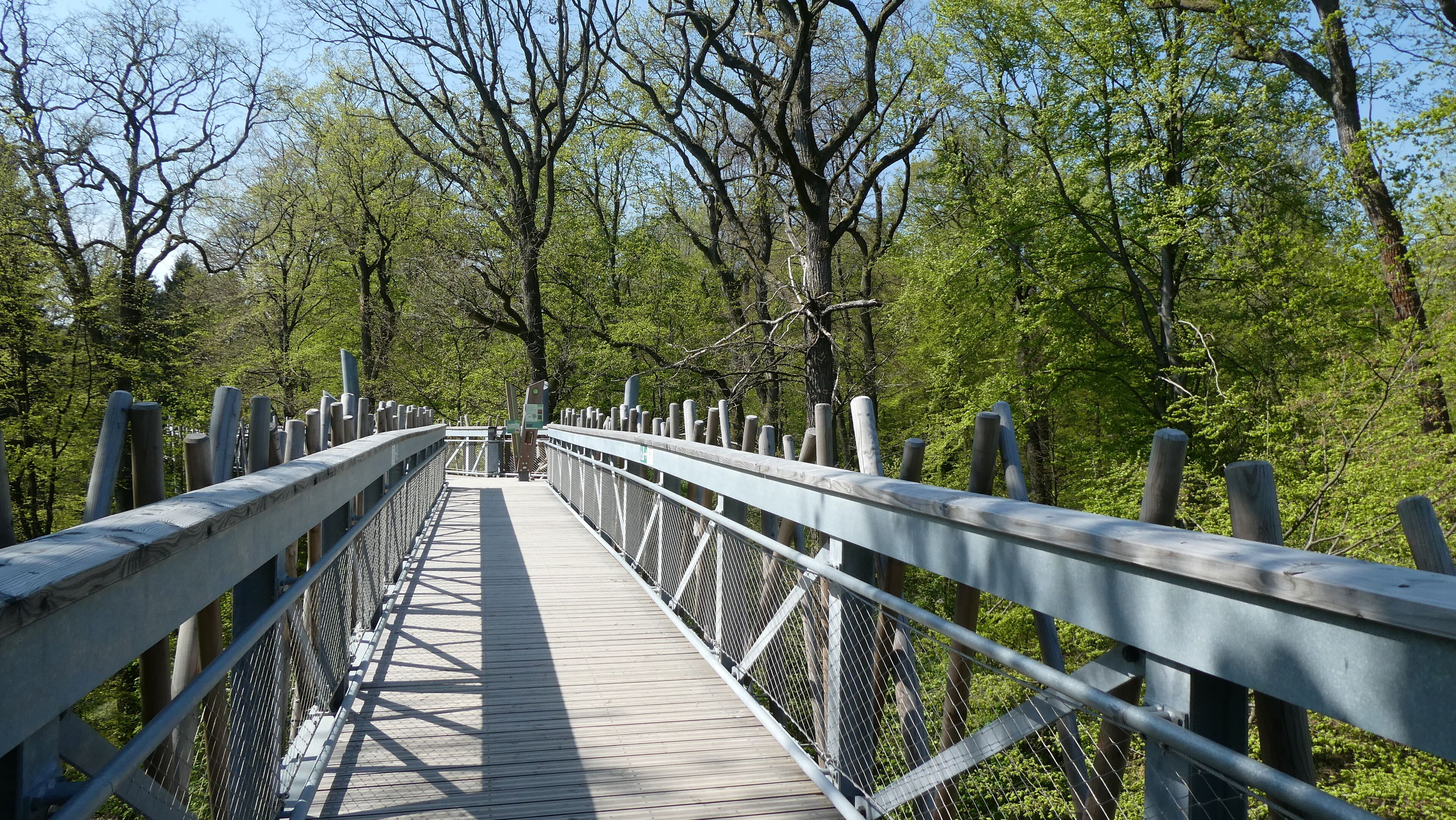 Baumwipfelpfad Bad Driburg