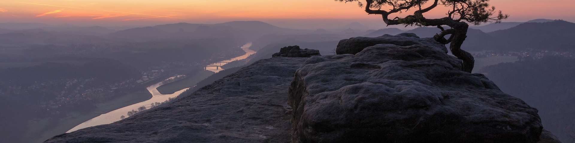Pine tree on Lilienstein in Nationalpark SĂ€chsische Schweiz, view in direction of Bad Schandau, Saxonia, Germany