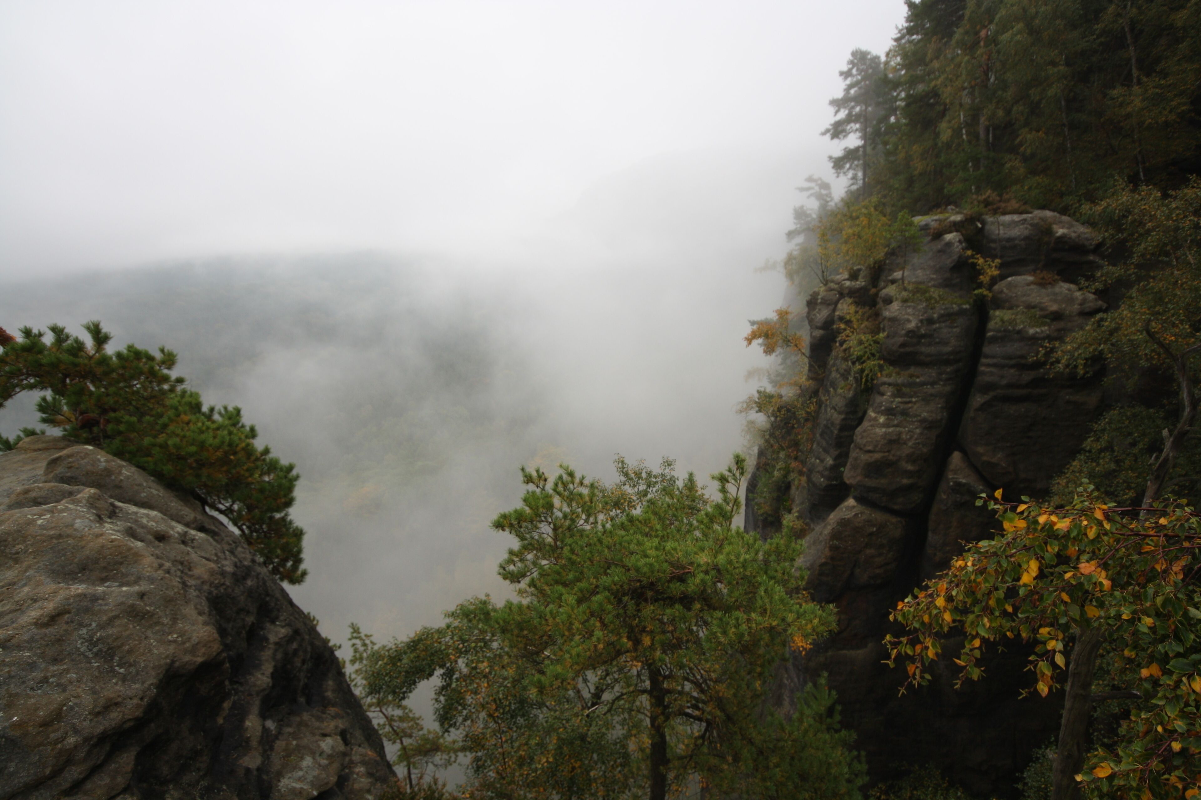 Rocks around the Häntzschelstiege in Saxon Switzerland.