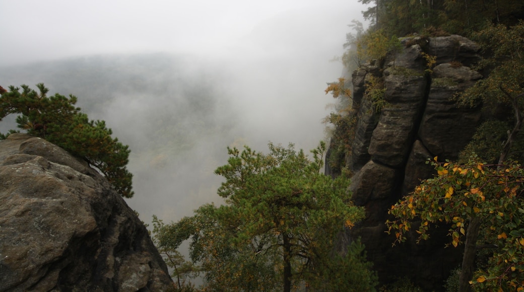 Rocks around the HĂ€ntzschelstiege in Saxon Switzerland.
