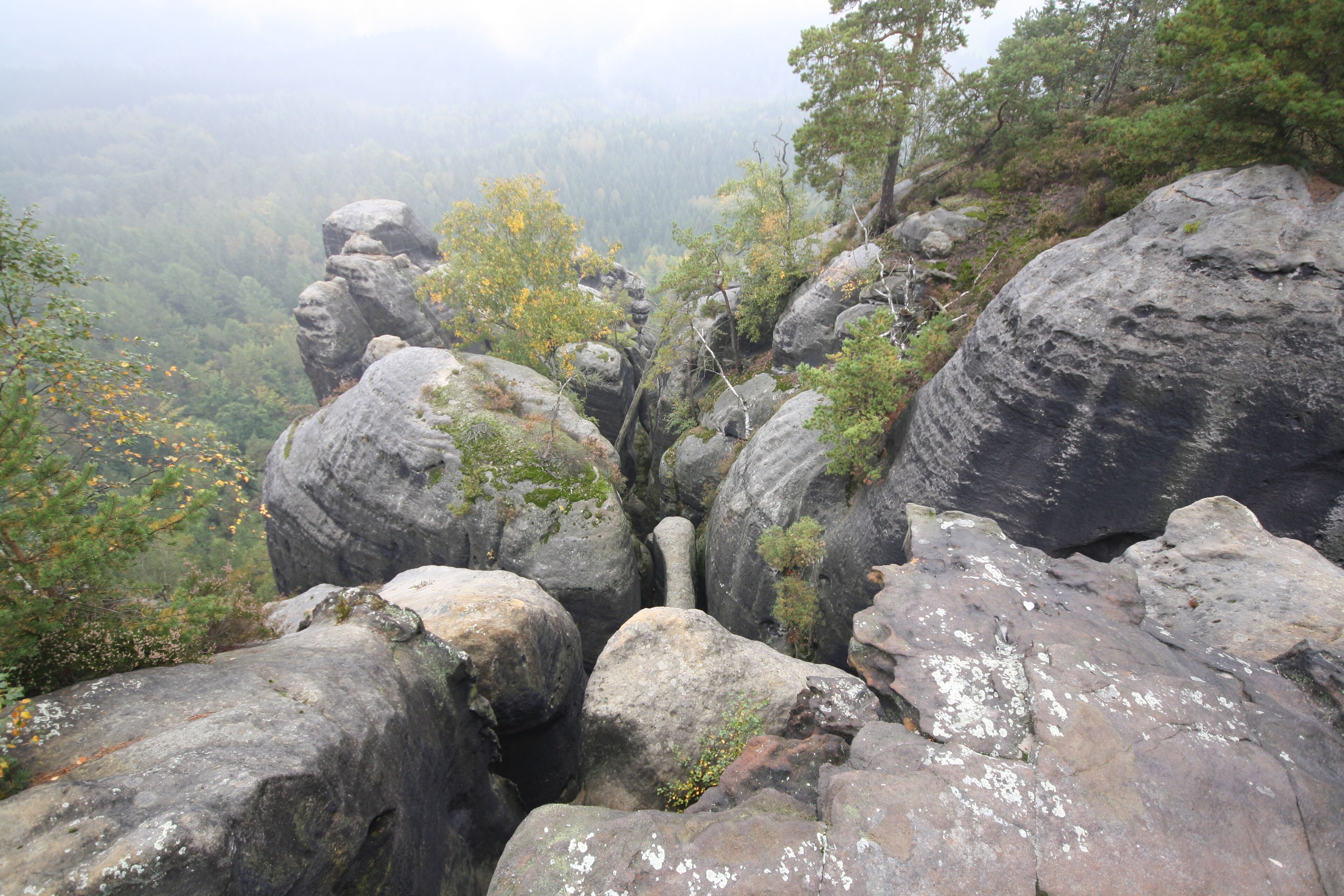 Rocks around the Häntzschelstiege in Saxon Switzerland.