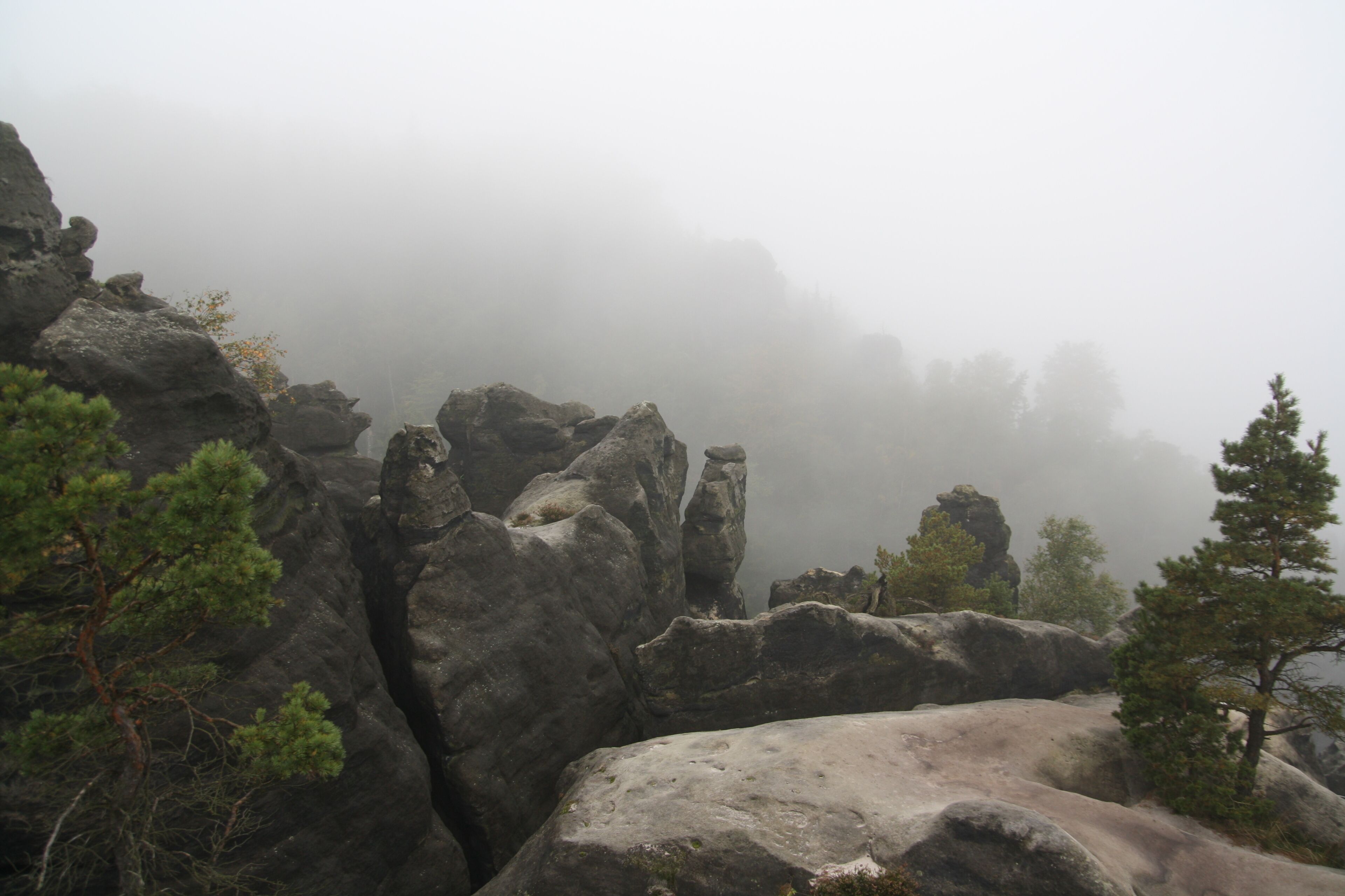 Rocks around the Häntzschelstiege in Saxon Switzerland.