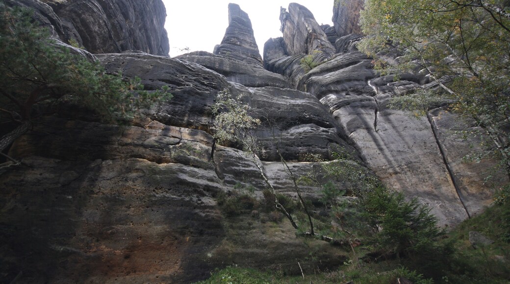 Rocks around the Häntzschelstiege in Saxon Switzerland.