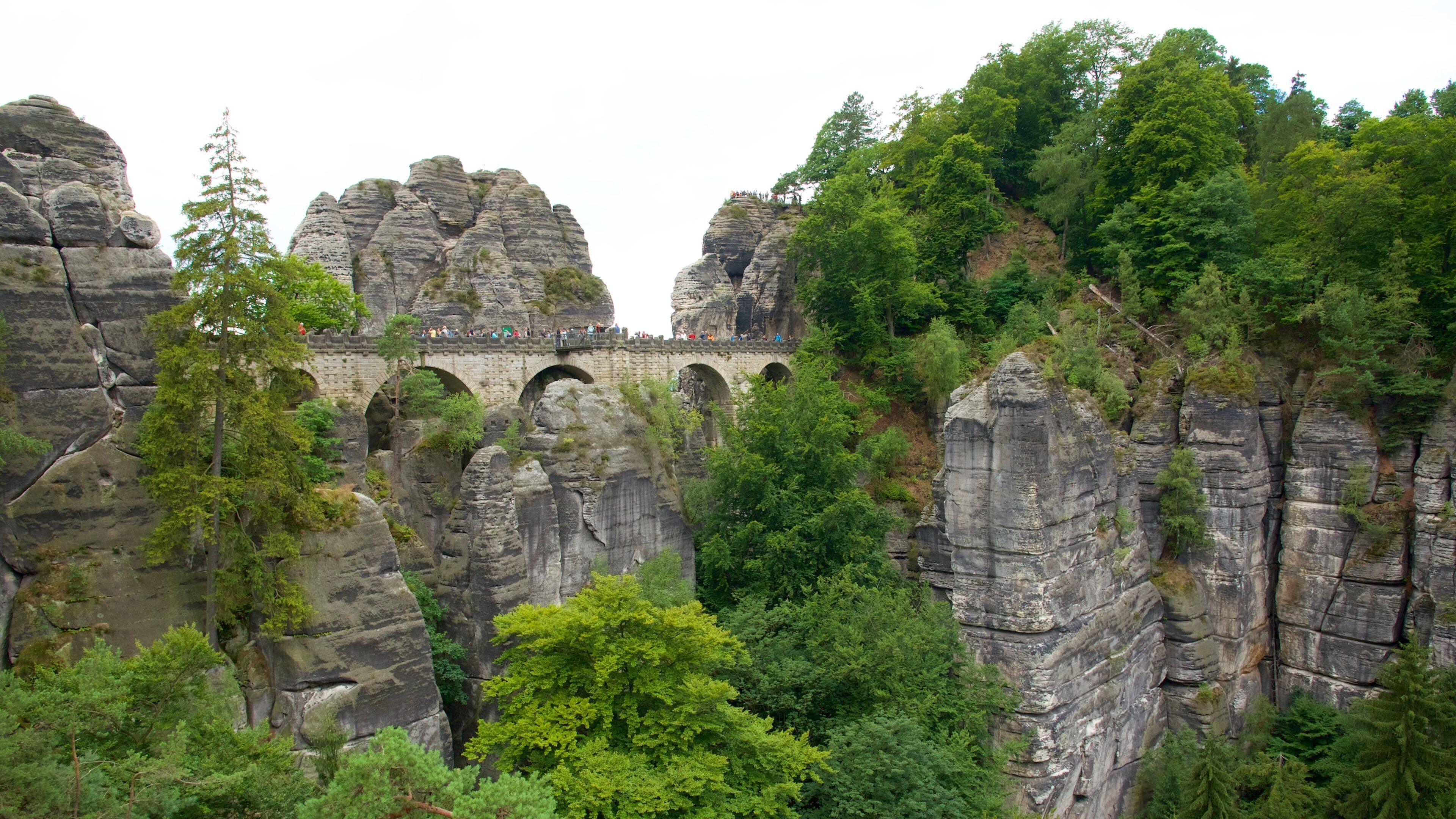 Bad Schandau showing a bridge