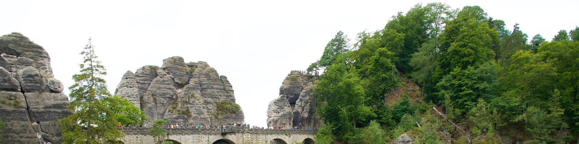 A stone bridge over a rocky gorge with dense forest.