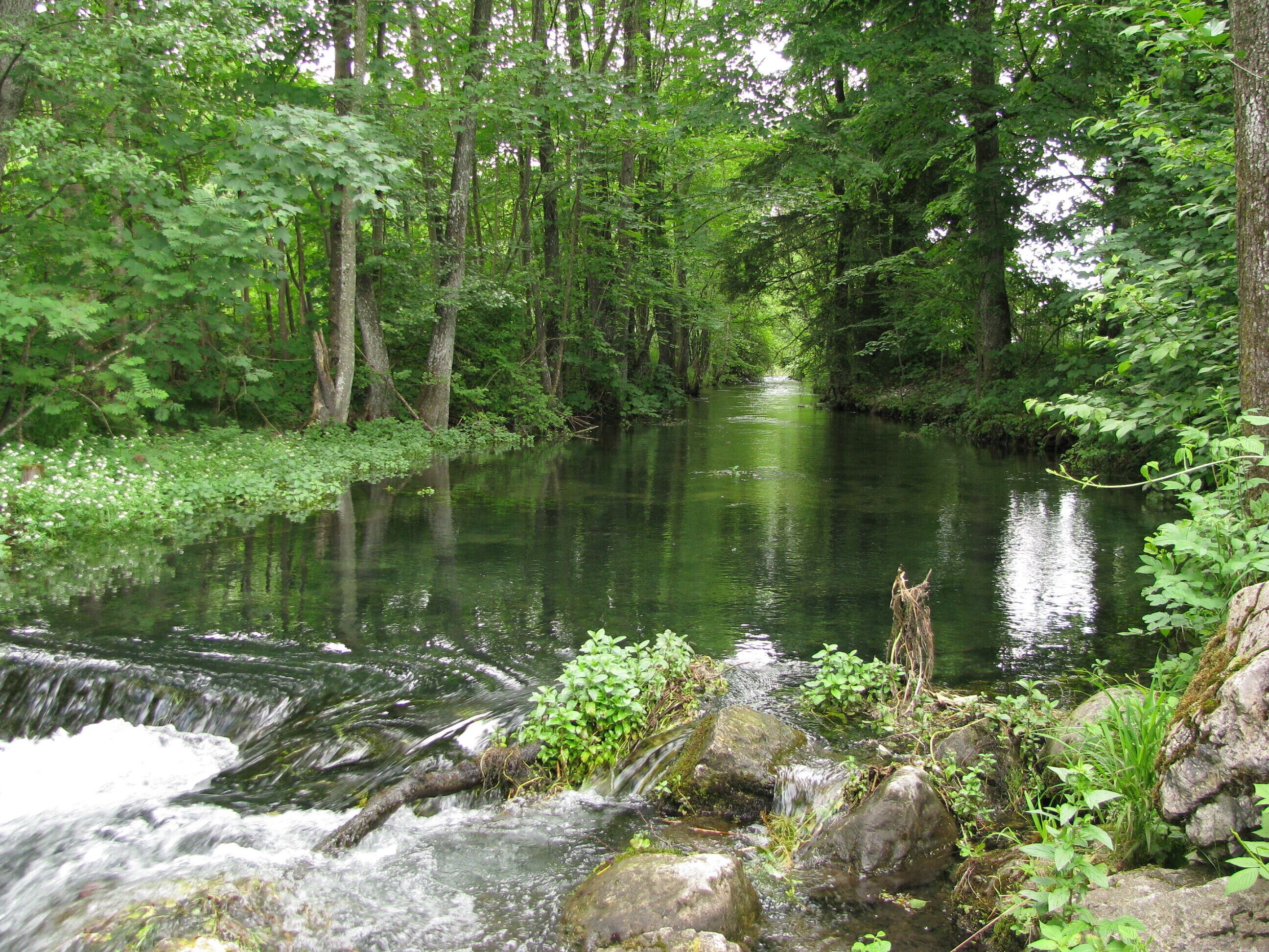 Ellbach in Bad Tölz