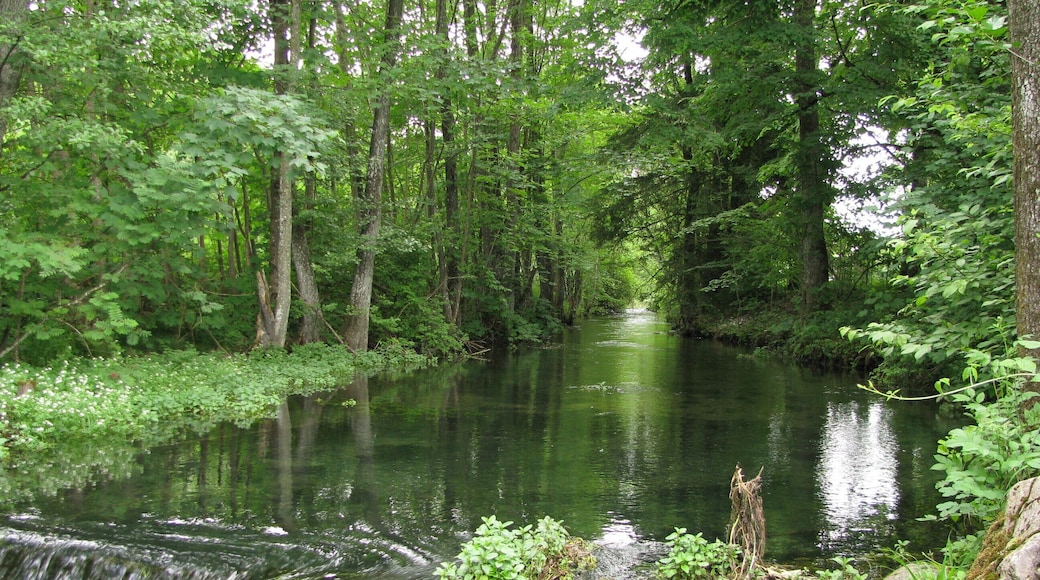 Ellbach in Bad Tölz
