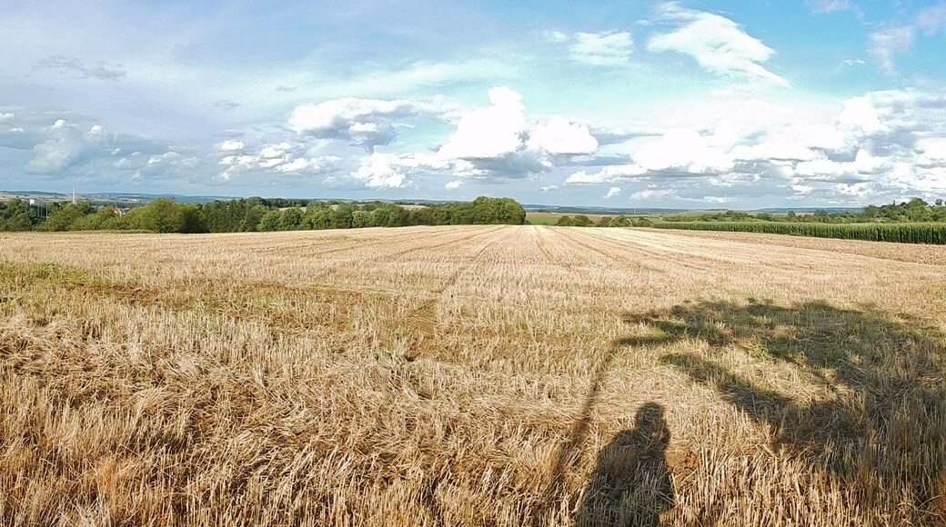 Blick Richtung Osten