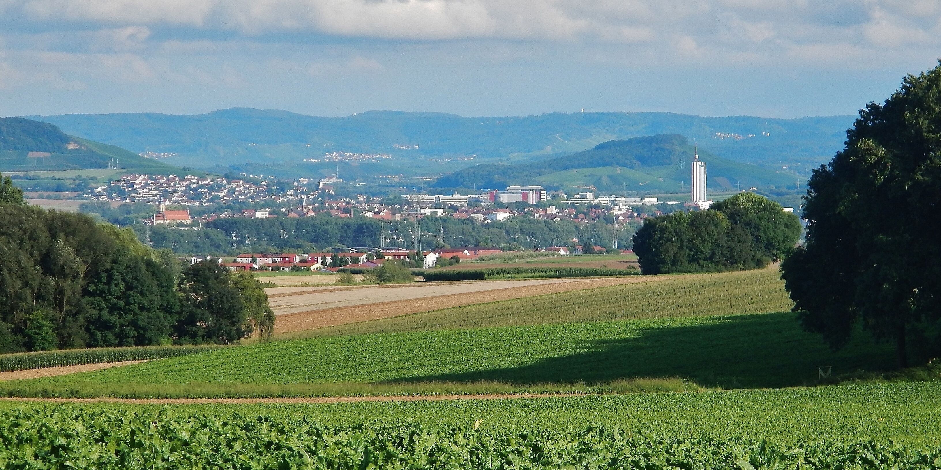 Blick Richtung Neckarsulm