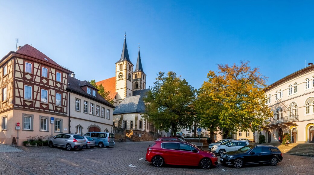 Bad Wimpfen, Marktplatz Panorama