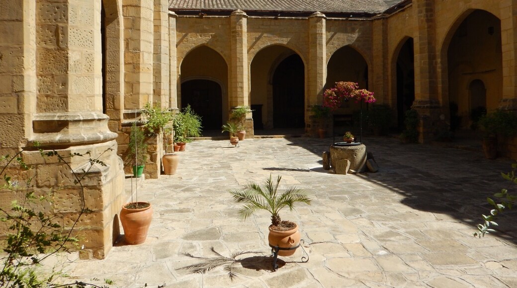 Spanish courtyard, Baeza, Spain