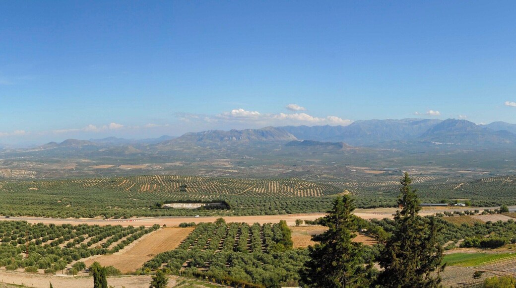 Panoramic View of Guadalquivir Valley from Baeza