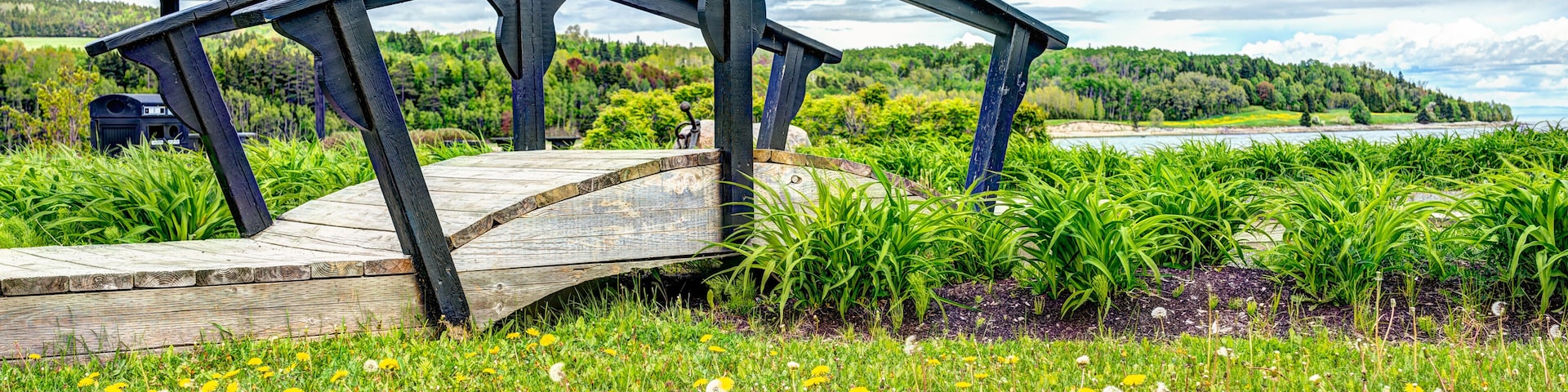 Un puente de madera sobre un campo de flores silvestres, con un lago y un bosque al fondo.