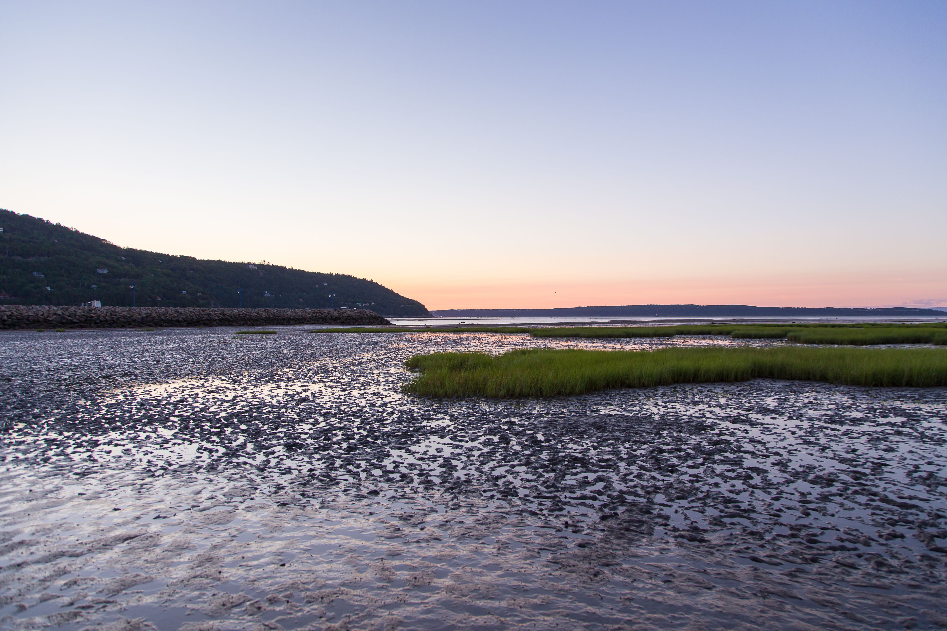 A coastal landscape with a rocky shoreline, grassy areas, and a distant hill.