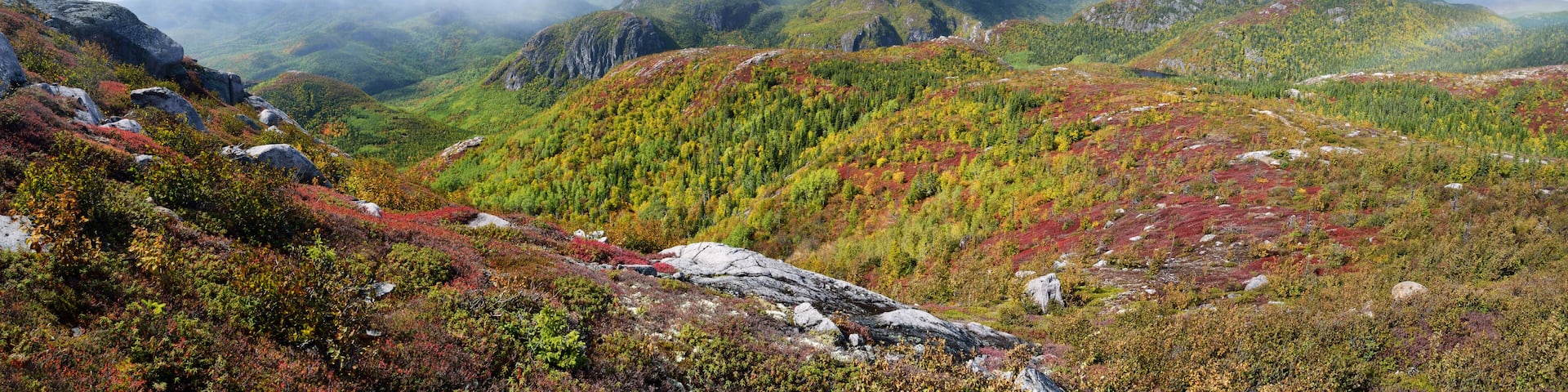 Autumn scene in the Parc National des Grands-Jardins panoramic view, Province of Quebec, CANADA.