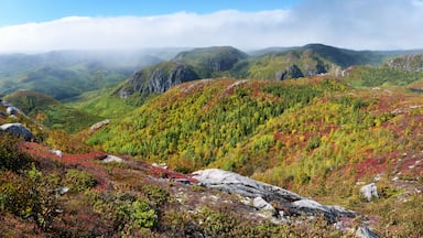 Autumn scene in the Parc National des Grands-Jardins panoramic view, Province of Quebec, CANADA.