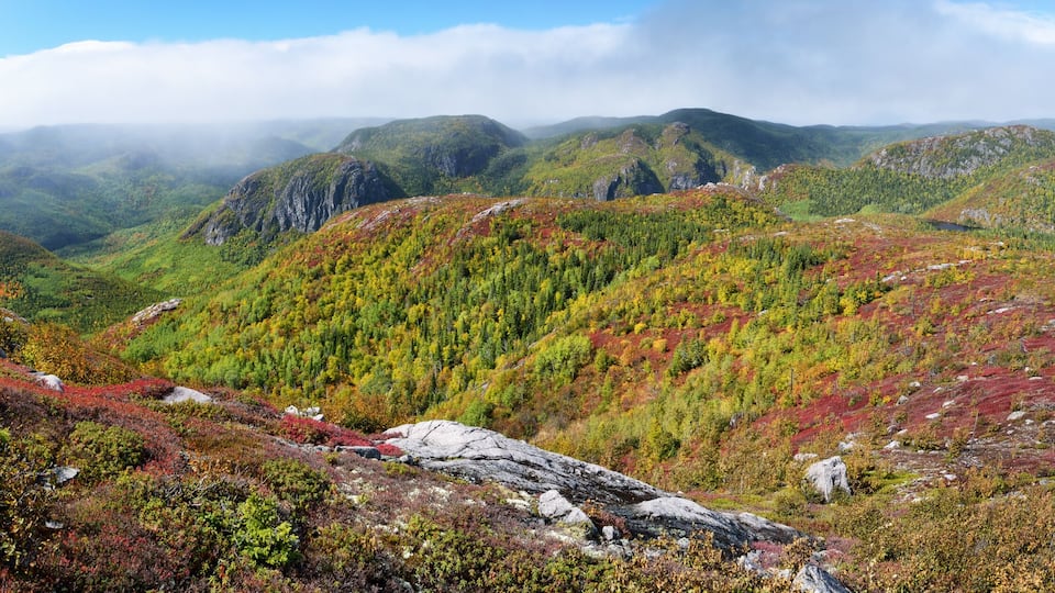 A mountainous landscape with dense forests and rocky outcrops.