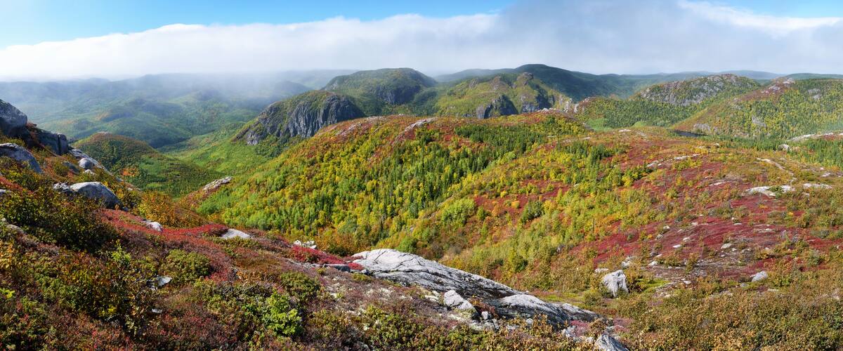 A mountainous landscape with dense forests and rocky outcrops.