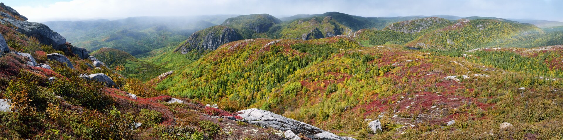A mountainous landscape with dense forests and rocky outcrops.
