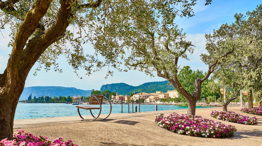 Bardolino