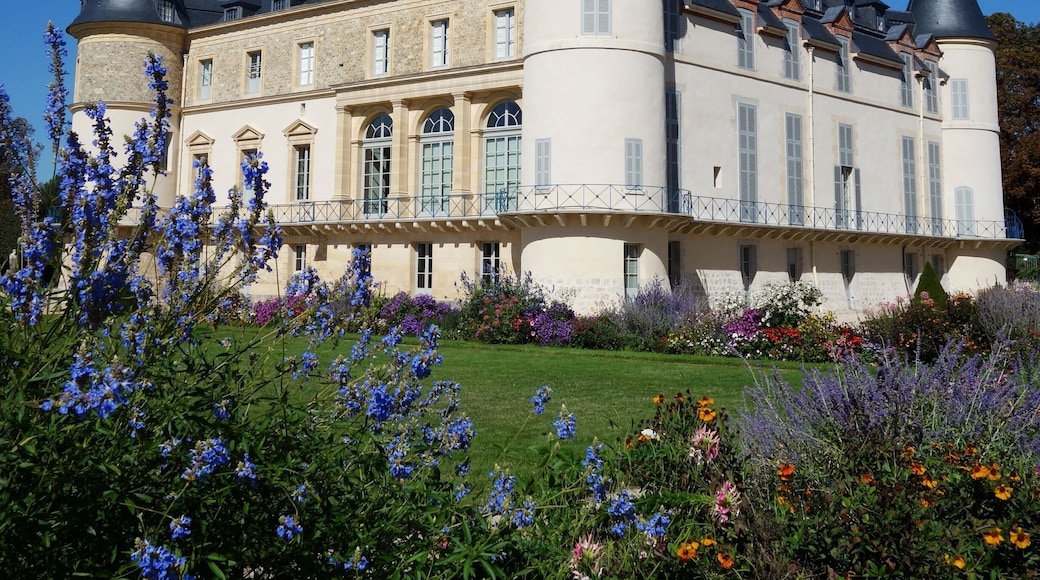 Castle of Rambouillet under the sun (France)
#castle #france #europe
September 2018 - Sony RX100