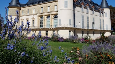 Castle of Rambouillet under the sun (France)
#castle #france #europe
September 2018 - Sony RX100