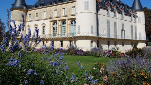 Castle of Rambouillet under the sun (France)
#castle #france #europe
September 2018 - Sony RX100