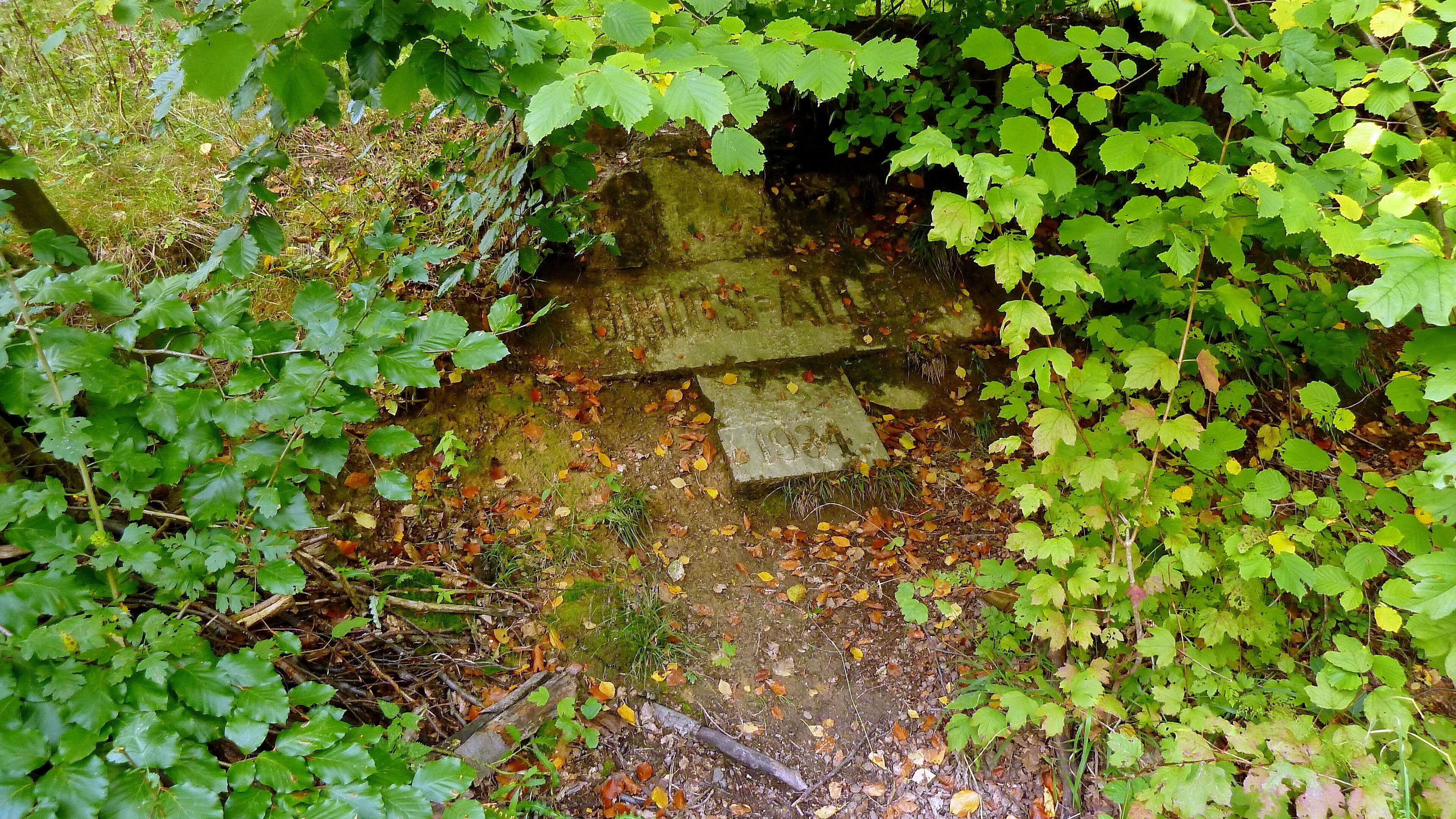 Die Gedenkplatten sind neben der Königsallee in den Erdboden eingelassen und erinnern an die Neu-Befestigung der Königsallee im Jahre 1934.