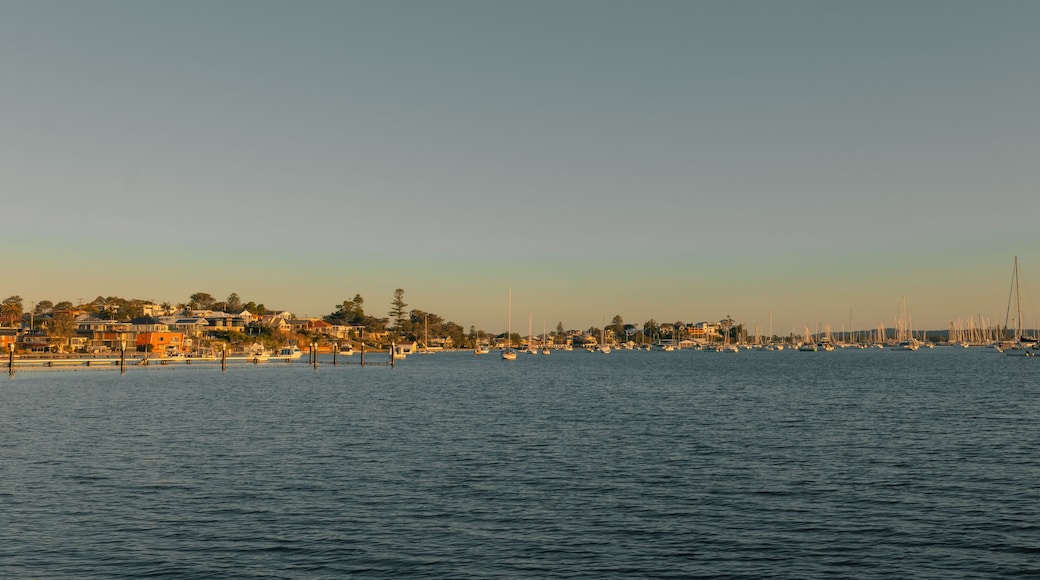 Houses lining the shoreline at Lake Macquarie illuminated by late afternoon sunlight
