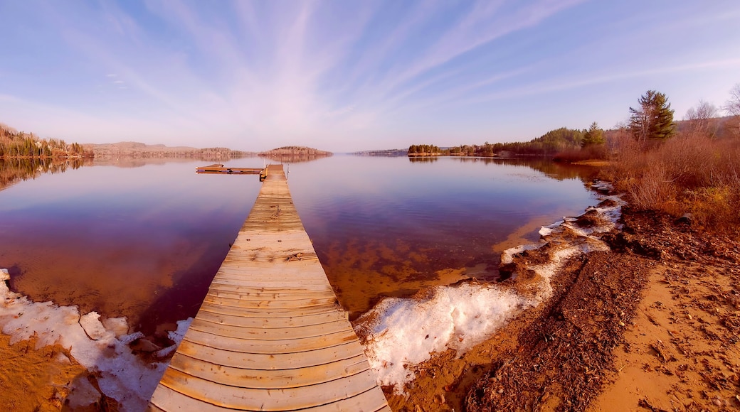 Dock on a wild lake in Quebec, Canada