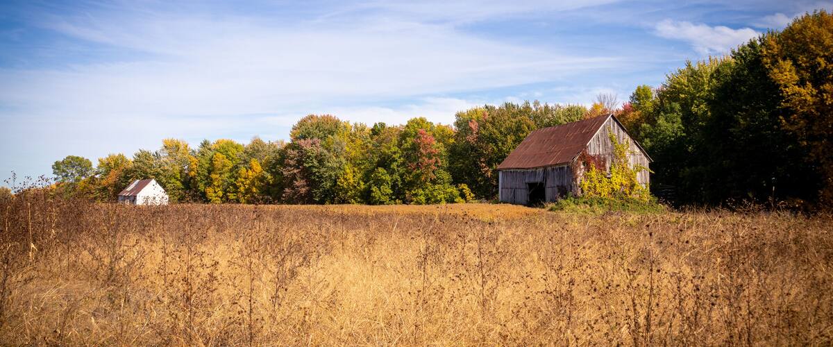 Old abandoned barn in the field autumn season landscape