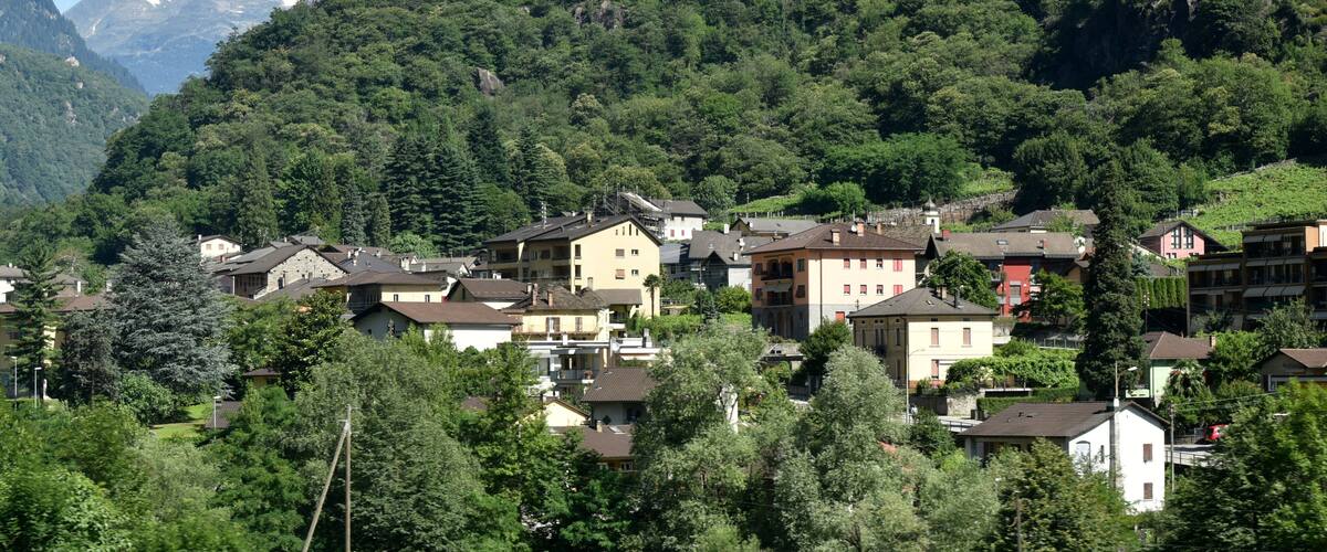 A mountainous village with houses nestled among trees and a backdrop of snow-capped peaks.