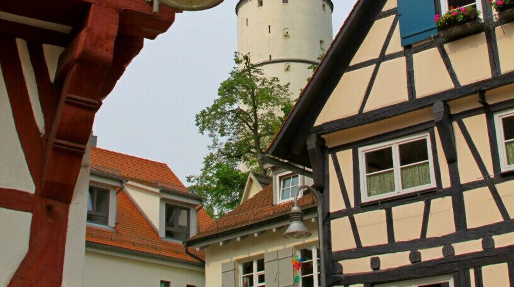 Biberach is a couple hours trip by train from Frankfurt. It is a cute little town in southern Germany. Twice a week, the center closes for an open air market. Wonderful food-baked goods, meats, cheeses, flowers, fruits.