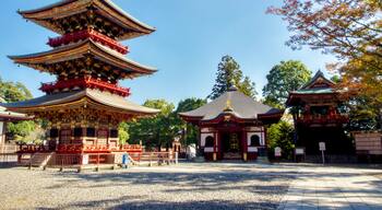Naritasan Shinshoji Temple near Tokyo Narita Airport
