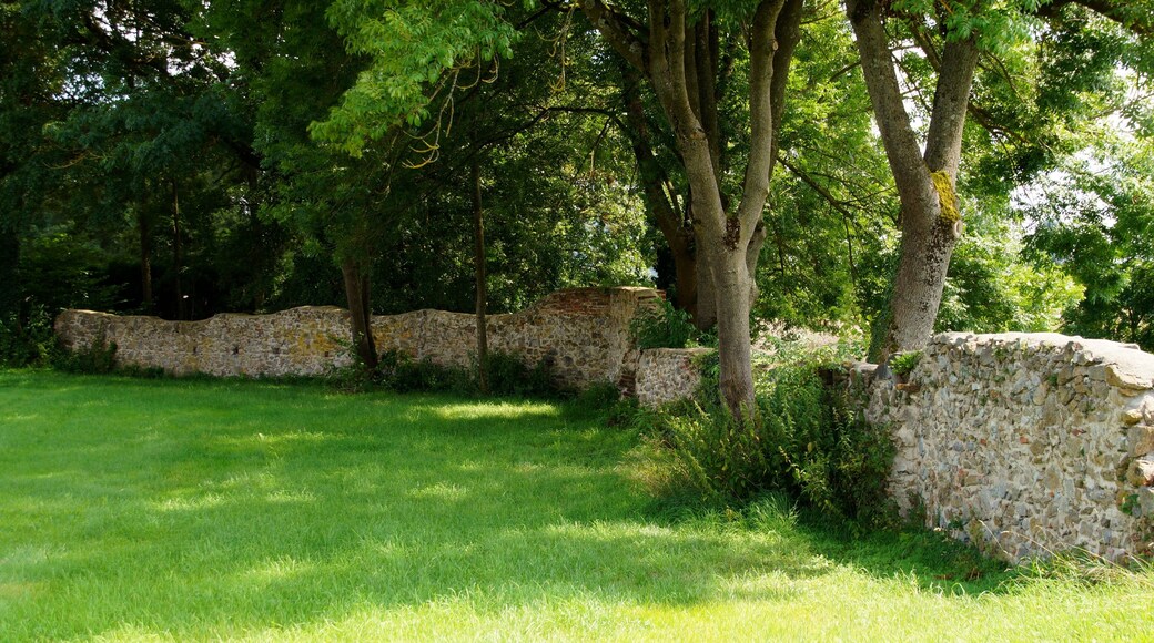 Oberalteich Reste der Klostergartenmauer