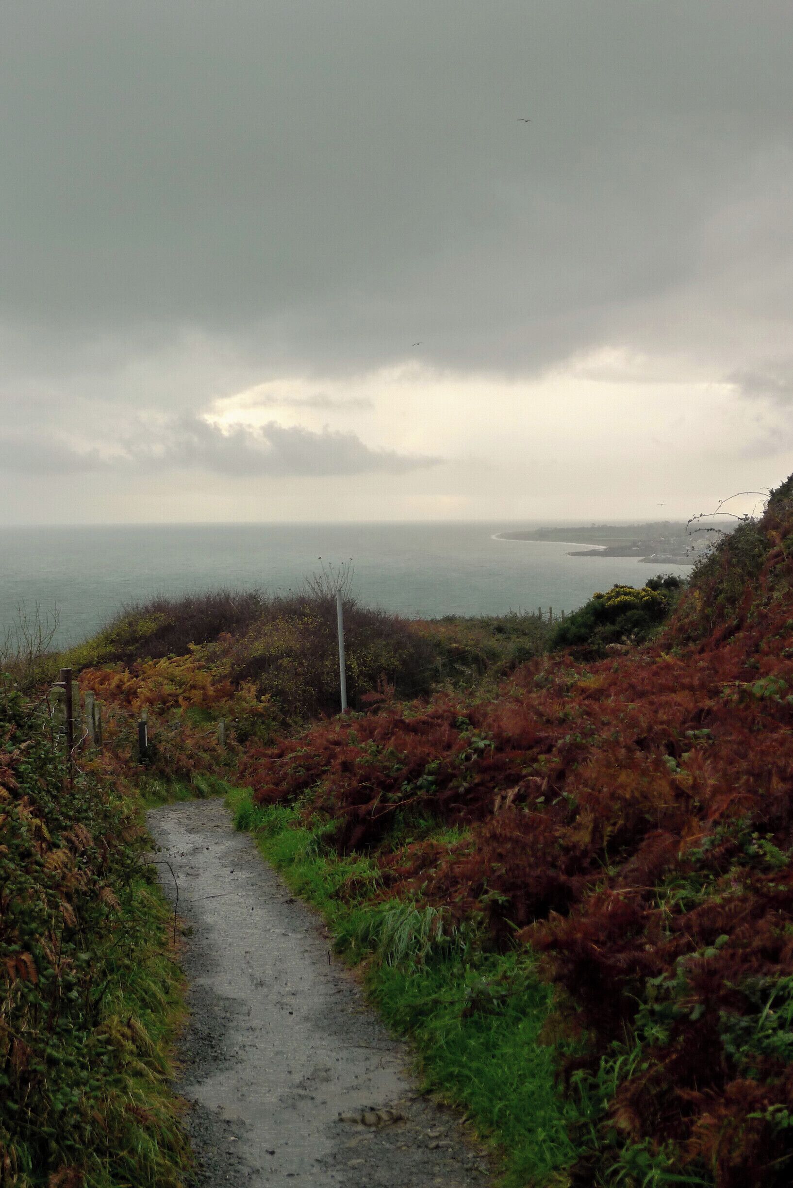 Another shot from the Cliff Walk....We met many locals who greeted us with words of encouragement and questioning looks at our footwear. My favorite sight was a young woman walking barefoot with a scowl on her face and a pair of soaked UGGS held high in her hand. 