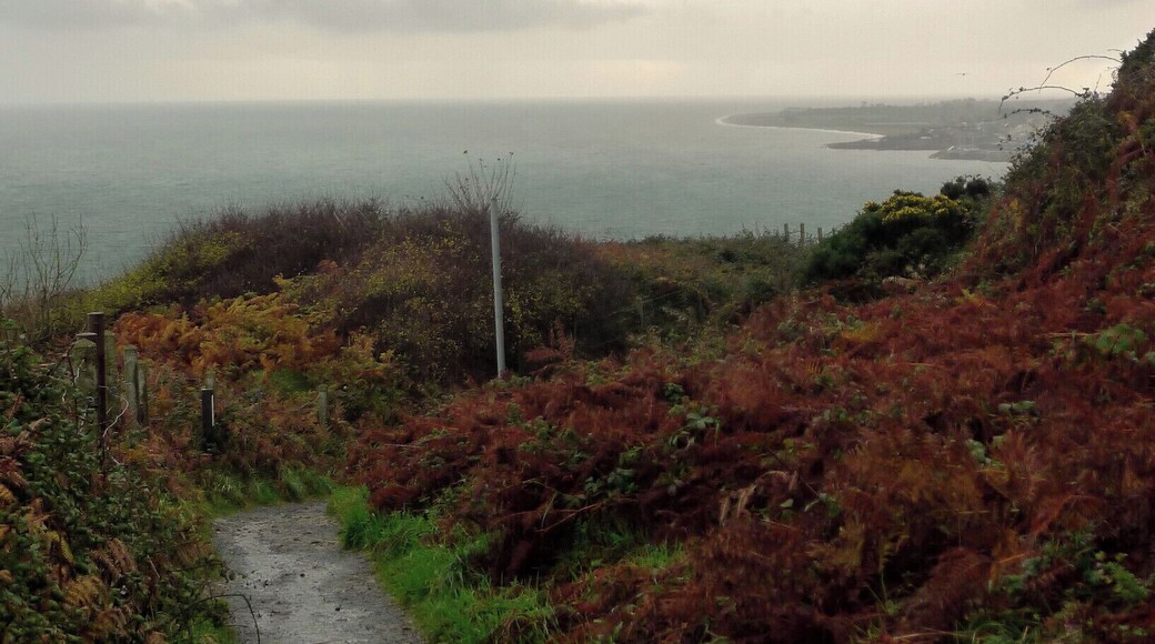Another shot from the Cliff Walk....We met many locals who greeted us with words of encouragement and questioning looks at our footwear. My favorite sight was a young woman walking barefoot with a scowl on her face and a pair of soaked UGGS held high in her hand.