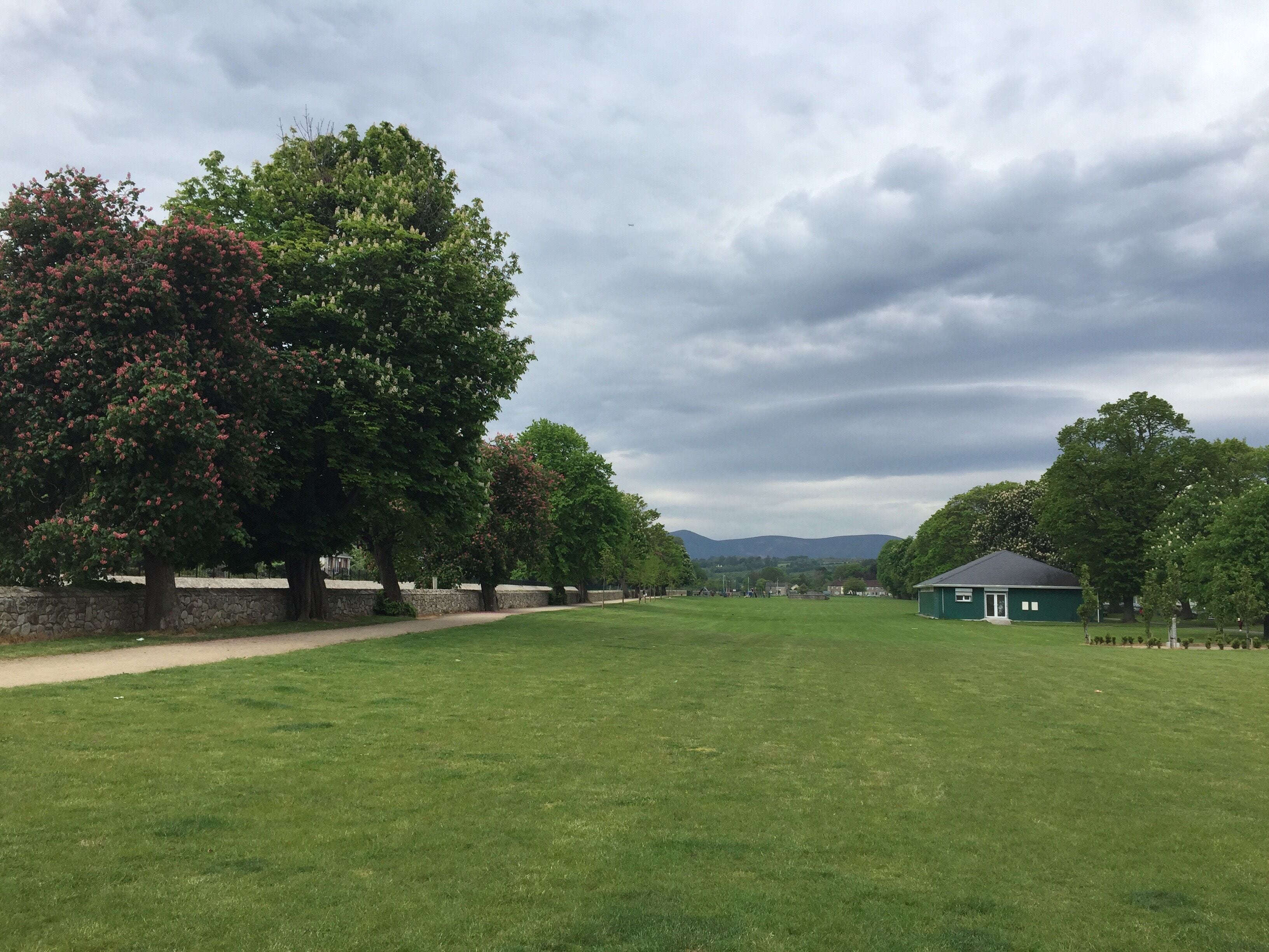 Words won't suffice to describe the beauty of Bray! 