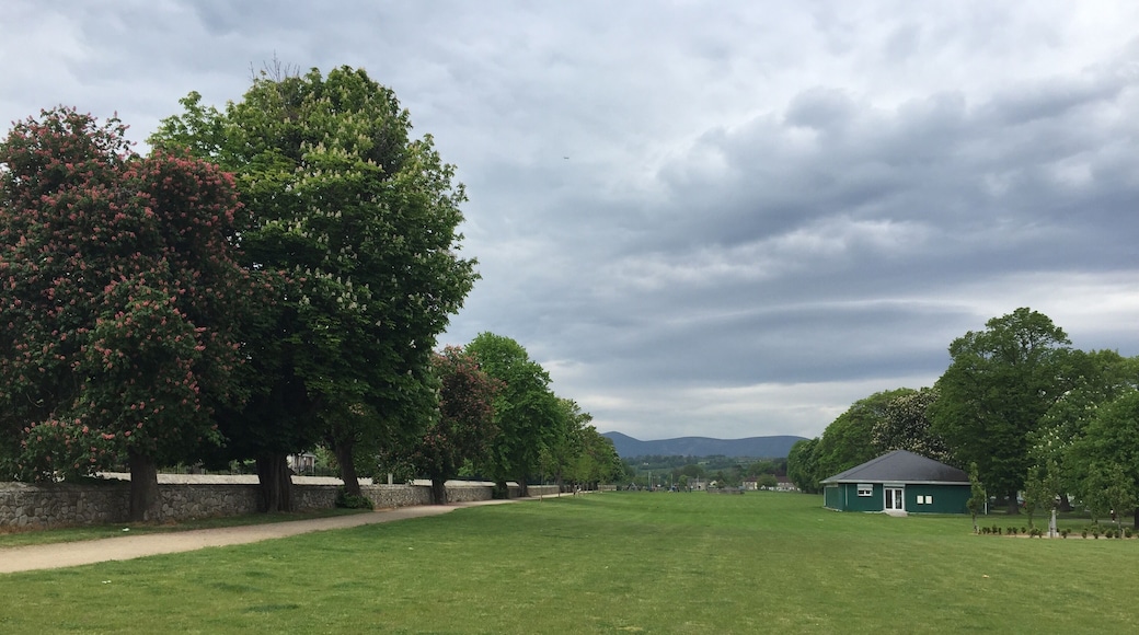 Words won't suffice to describe the beauty of Bray!