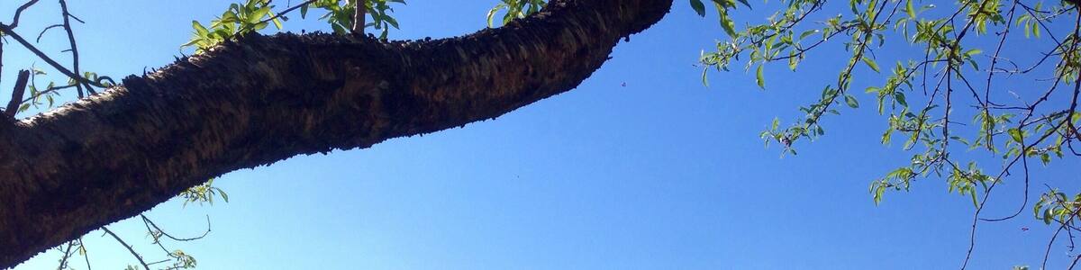 Shhhh.... Let's keep it out of the beaten path