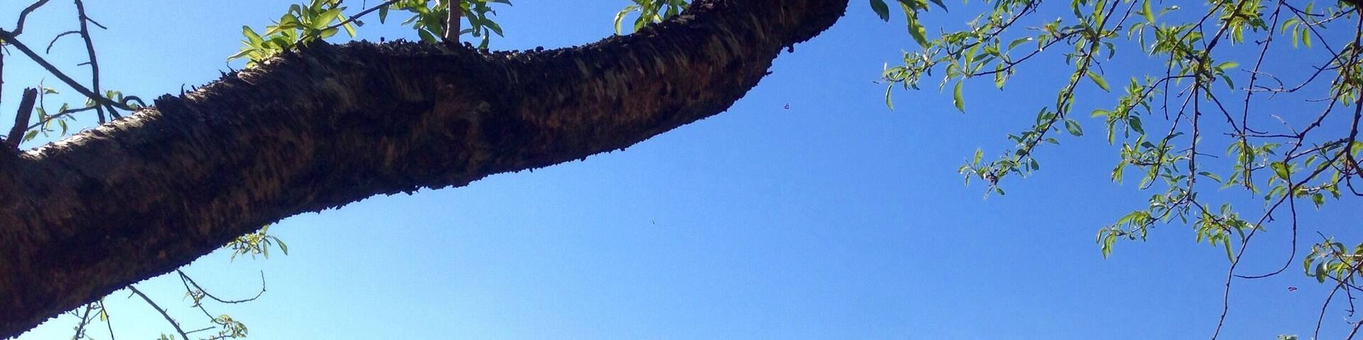 Shhhh.... Let's keep it out of the beaten path