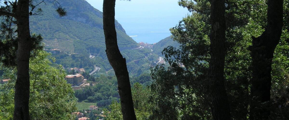 A mountainous landscape with dense forests and a winding road leading to a coastal area.