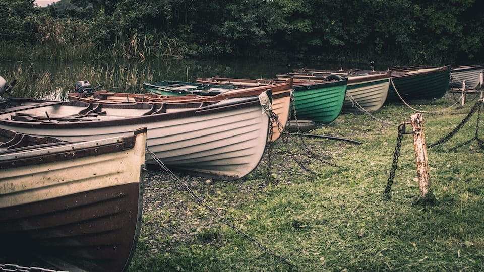 Several rowboats tied up on a grassy shore near a body of water.