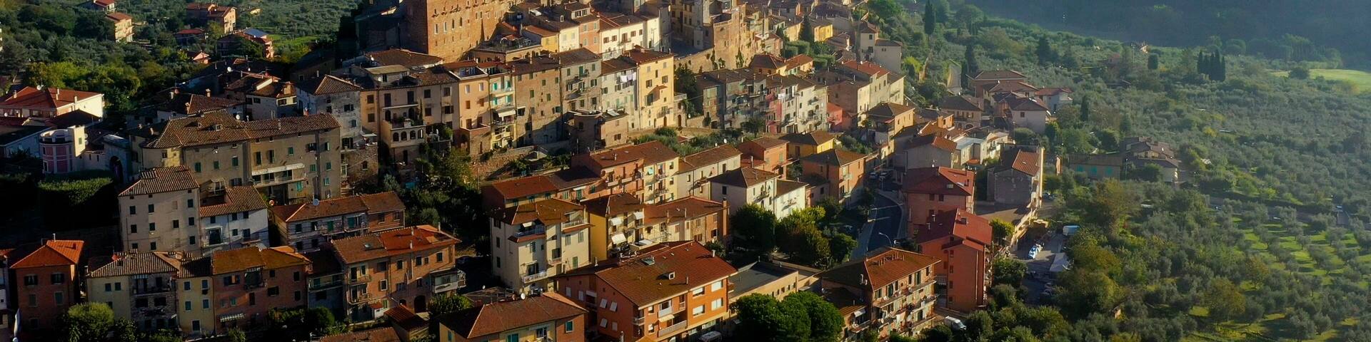 A historic town with a prominent castle on a hill, surrounded by lush green fields and rolling hills in the background.